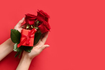 Female hands with beautiful roses and gift box on red background. Valentine's day celebration - obrazy, fototapety, plakaty