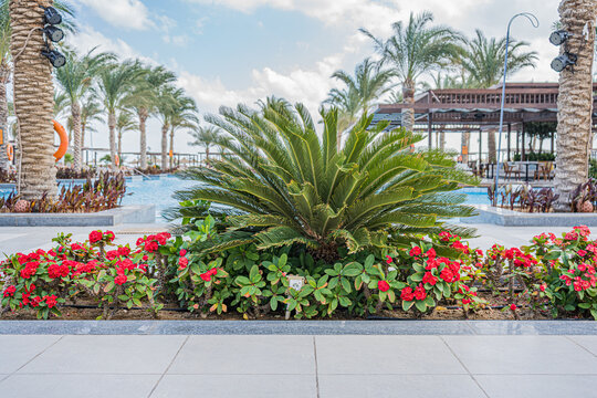 Egipt Marsa Alam