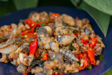 Amphibian, Appetizer, Asian Food, Basil, Chili Pepper