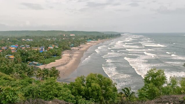 Beach with lots of palm trees and sea waves