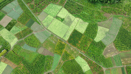 Aerial photography of farmland