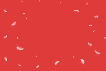 Abstract White Bird Feathers Falling in The Air. Softness of Feathers on Red Background.
