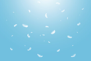 Abstract White Bird Feathers Floating in A Blue Sky. Freedom, Feather Softness, Falling White...