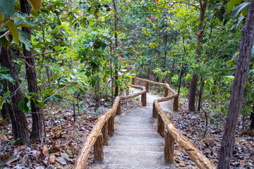 Fototapeta premium National Park Thailand