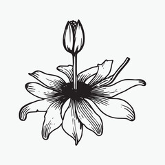 Flower coloring page hand drawn for kids vector black and white color