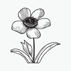 Flower coloring page hand drawn for kids vector black and white color