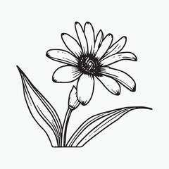 Flower coloring page hand drawn for kids vector black and white color
