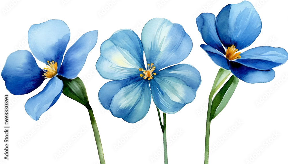 Wall mural watercolor flax flower drawing isolated on white background.