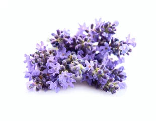 Rolgordijnen Lavender flower closeup on white backgrounds © margo555