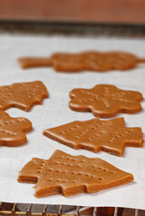 Gingerbread dough. Making gingerbread cookies for Holidays. Christmas cookies