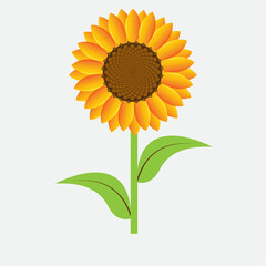 Sunflower vector  icon design 
