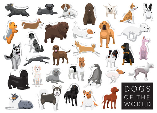 Dogs of the World Set Cartoon Vector Character