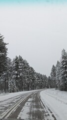 Fototapeta premium road in snow