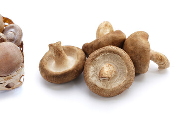 Fresh shiitake mushrooms on white background.