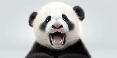  Close-up view of a panda bear with its mouth wide open. This image can be used to depict the unique features and expressions of panda bears. © Fotograf