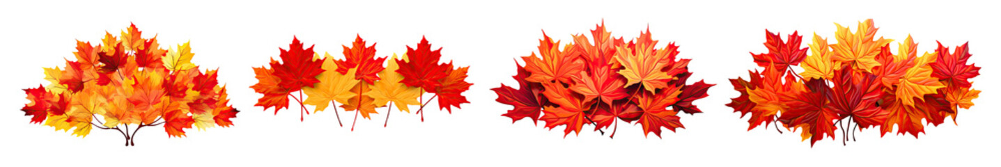 Set of Large Bundle of Red and Yellow Maple Leaves Isolated on Transparent Background