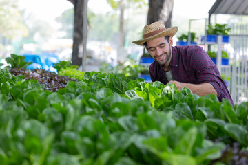 farmer working in the organic farm.