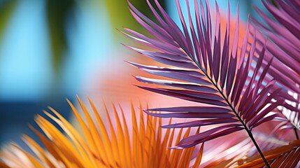 Fototapeta premium Cbohemian Palm Design On Pastel Solid, Wallpaper Pictures, Background Hd