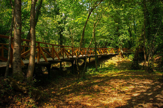 A raised wooden walkway in the Japod Islands, or Japodski Otoci, near Bihac in the Una National Park. Una-Sana Canton, Federation of Bosnia and Herzegovina