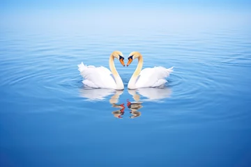 Foto op Aluminium pair of white swans on blue water forming heart © stickerside