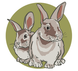 hand drawn rabbit color vector illustration