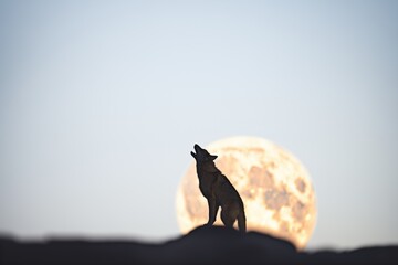 wolf silhouette howling, full moon above