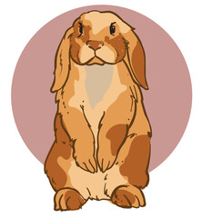 hand drawn rabbit color vector illustration