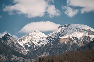Obraz premium Pine trees and a snowy valley in front of the majestic Dolomites peaks in the Italian Alps. landscape of natural beauty and winter wonder. A perfect place for destination travel. View of the Dolomites