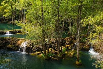 Obraz premium Travertine pools in the River Una at the Small Waterfalls at Martin Brod in Una-Sana Canton, Federation of Bosnia and Herzegovina. Located within the Una National Park. Early September