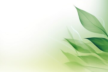 Obraz premium Original light background image with a slight shadow of a plant for presentation products flat art