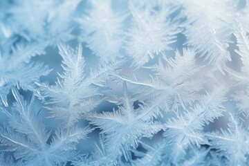 Close up hoarfrost in nature and ice crystals.