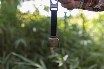 A bear bell with hand at the green forest in Autumn