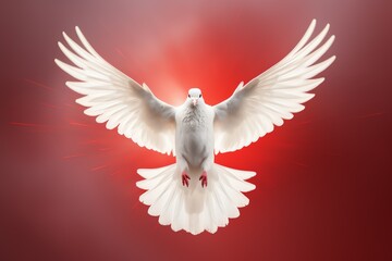 a white dove with wings spread - obrazy, fototapety, plakaty