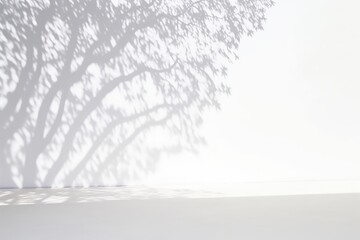 The shadow of a tree on a white table on a white floor, in the style of animated gifs softly blended hues crisp and clean, soft-focus, bold shadows