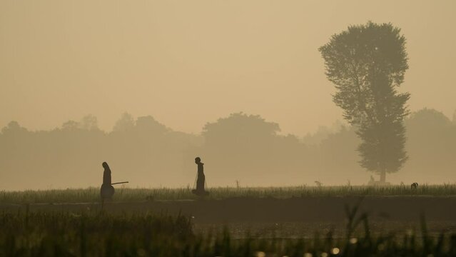 Foggy winter morning video of rural Bangladesh with ambient sound. Serene and picturesque footage for use in videos about nature, travel, and rural life. Biking, cycling, hiking, travel, vacation