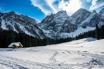 Fototapeta na wymiar Tarvisio. Riofreddo valley in winter. At the foot of the Julian Alps