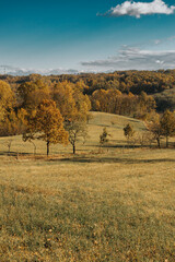 Fototapeta premium autumn landscape in the countryside