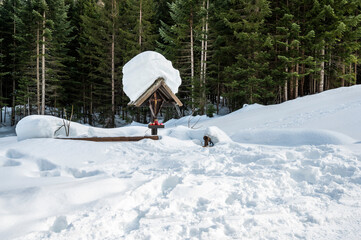 Tarvisio. Riofreddo valley in winter. At the foot of the Julian Alps