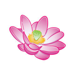 Lotus flower illustration. Suitable for designs on t-shirts, jackets, hoodies, sweaters, stickers, etc.