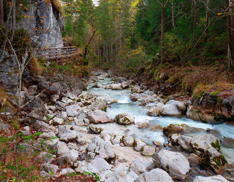 Bavarian wild creek water flow with surrounding autumn forest scene