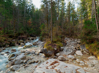 Berchtesgaden Zauberwald wild creek water flow with surrounding autumn forest scene