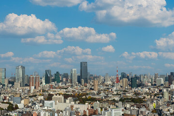 Fototapeta premium Cityscape of Tokyo, the capital of Japan.