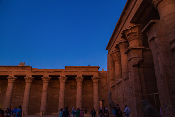 Temple of Edfu at dawn. Egypt - obrazy, fototapety, plakaty