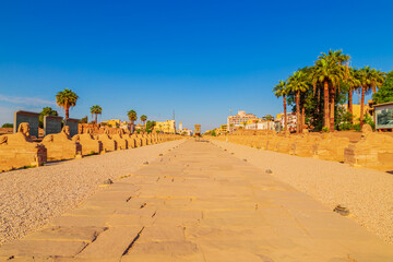 Alley of Sphinxes near Luxor Temple.
