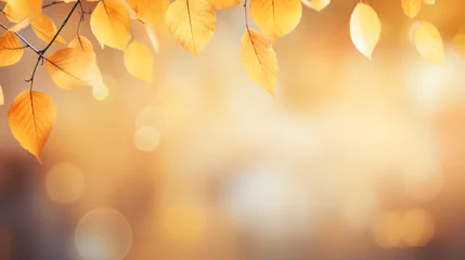 Poster Abstract light autumn background yellow leaves autumn © Noman