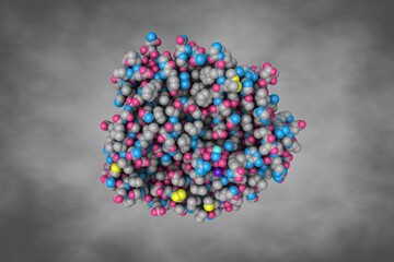 Human S-adenosyl methionine synthetase 1 in complex with SAM and PPNP. Space-filling molecular model on gray background. Rendering based on protein data bank entry 8swa. 3d illustration