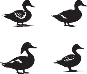 Duck silhouettes set on white background