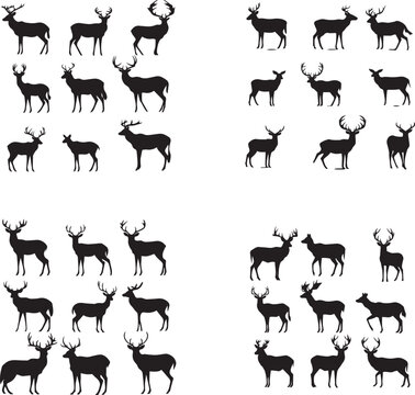 Silhouette of beautiful deer's on white background