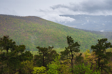Overlook at Talimena Scenic Drive, National Scenic Byway