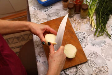 Hands of young female chopping fresh onion